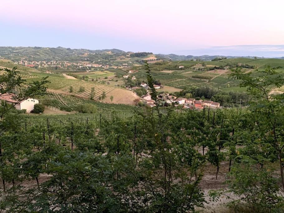Apart-Agriturismo "La Colomba" Ніцца-Монферрато Екстер'єр фото